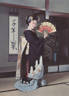 D-20-19 - 49 Cartões postais japoneses (1)