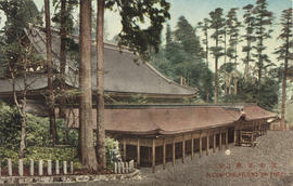 D-20-10 - 49 Cartões postais japoneses (1)