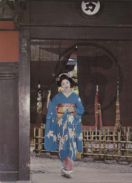 D-20-41 - 49 Cartões postais japoneses (1)
