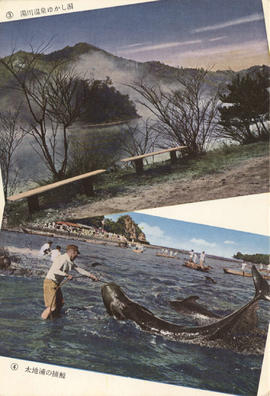 D-20-4 - 49 Cartões postais japoneses (1)